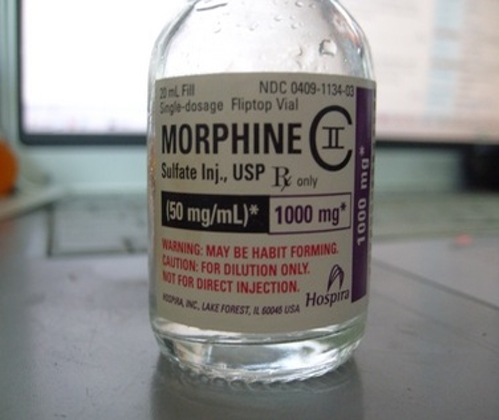 Euthanasia morphine bottle